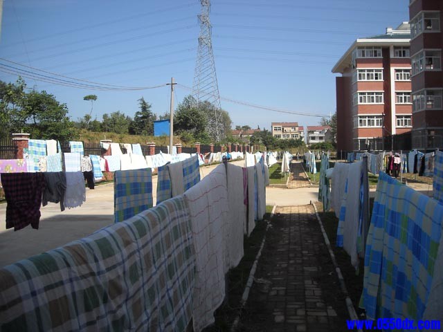 DSCN1543.JPG