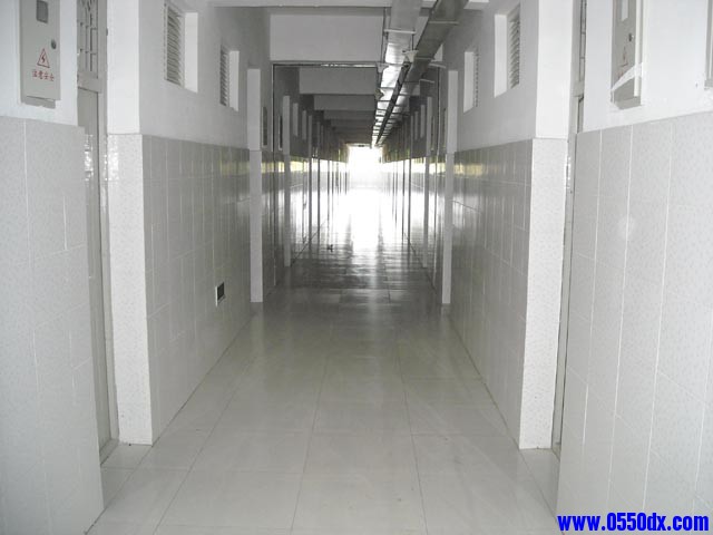 DSCN1546.JPG
