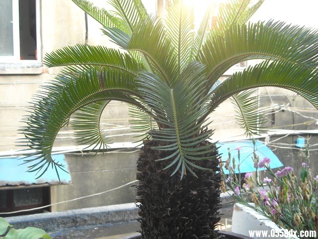 DSCN1269.jpg