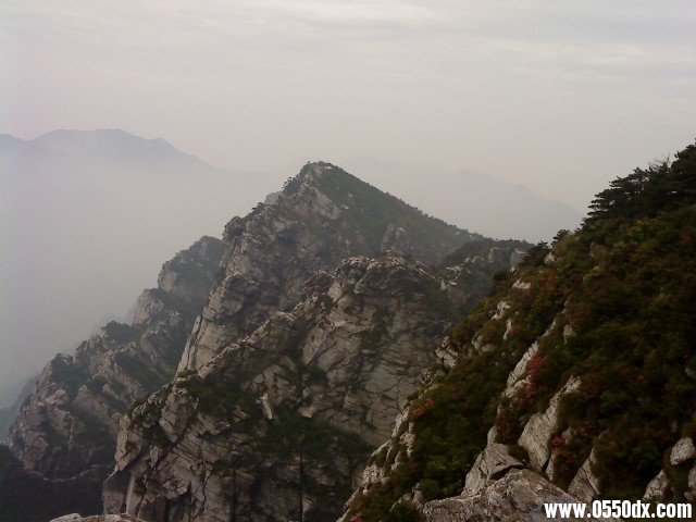 美吧，哈哈