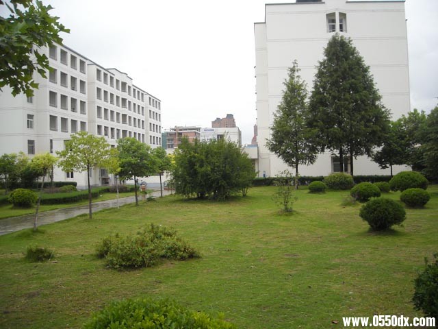 DSCN1368.JPG