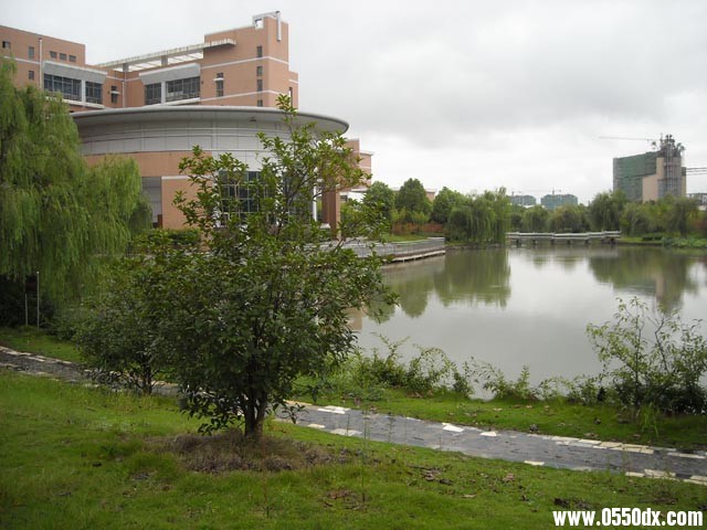 DSCN1379.JPG