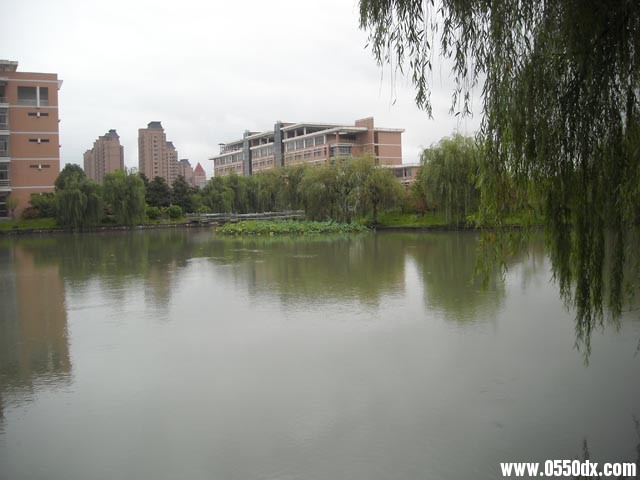 DSCN1377.JPG