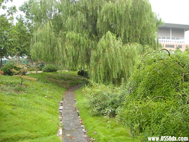 DSCN1378.JPG