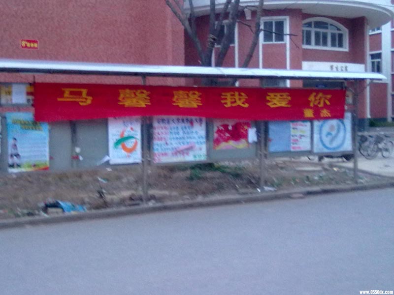 20101025139.jpg