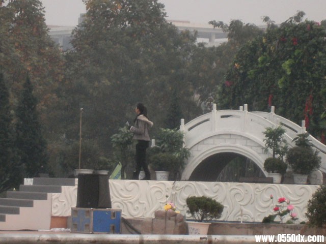 PB030232.jpg