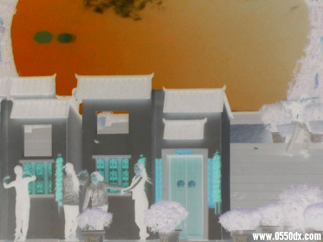 PB030237.jpg