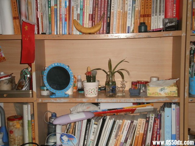 PB030258.jpg