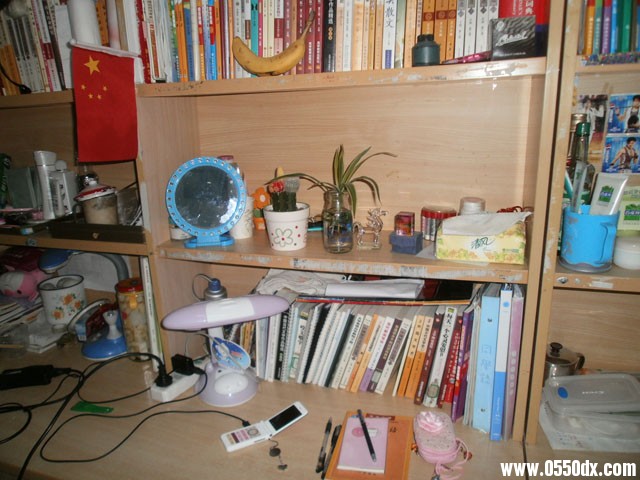 PB030257.jpg