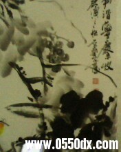 IMG0188A.jpg