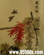 IMG0192A.jpg