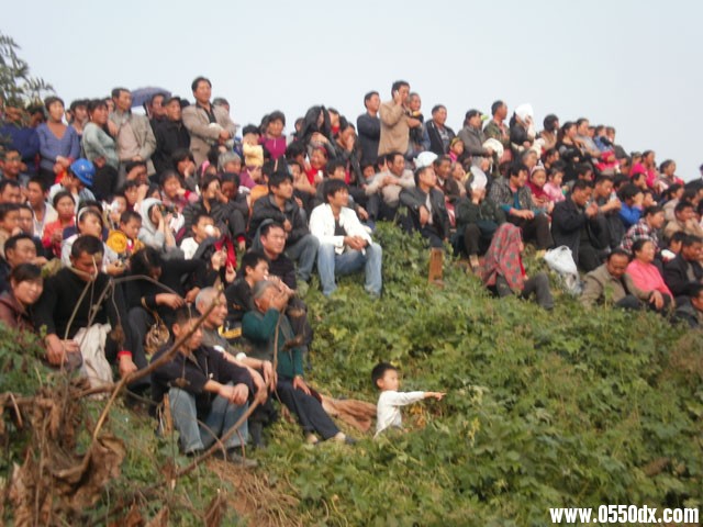 PB060274.jpg