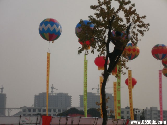 PB060279.jpg