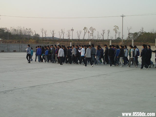 IMAG0522.JPG