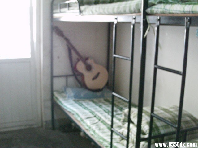 IMAG0272.JPG