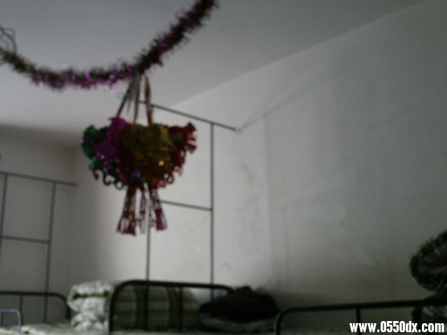 IMAG0287.JPG