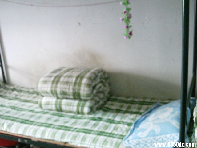 IMAG0304.JPG