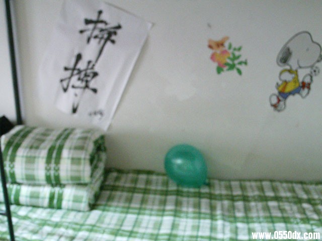 IMAG0305.JPG