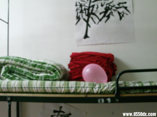 IMAG0306.JPG