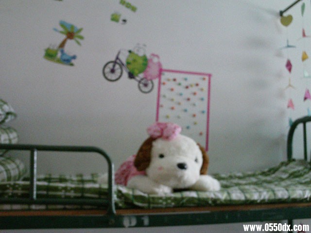 IMAG0319.JPG