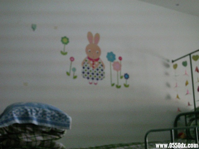 IMAG0320.JPG
