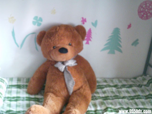 IMAG0323.JPG