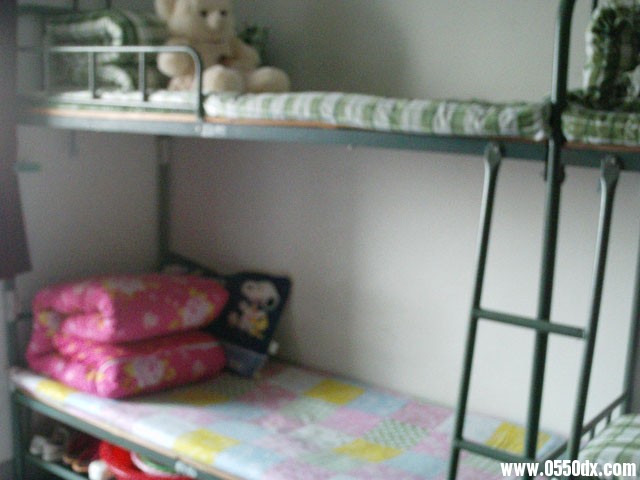 IMAG0326.JPG