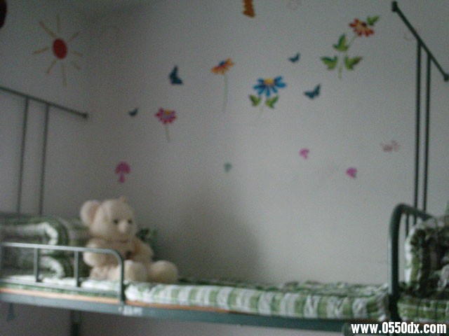 IMAG0327.JPG