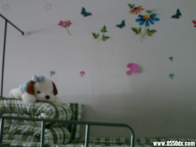 IMAG0328.JPG