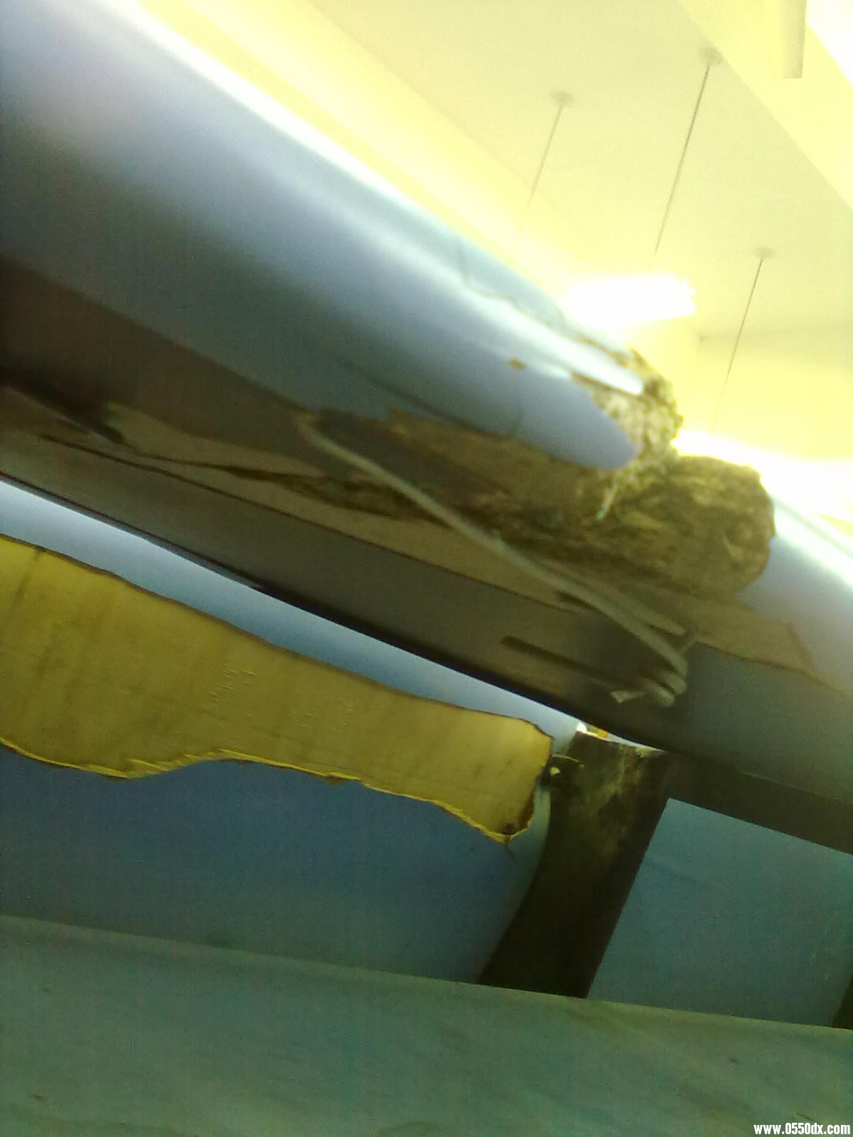 20110307093.jpg