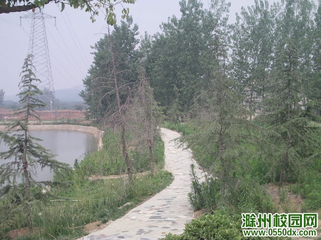 滁州职业技术学院新校区