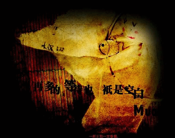 复件 (2) 200911261943670362_conew1.gif