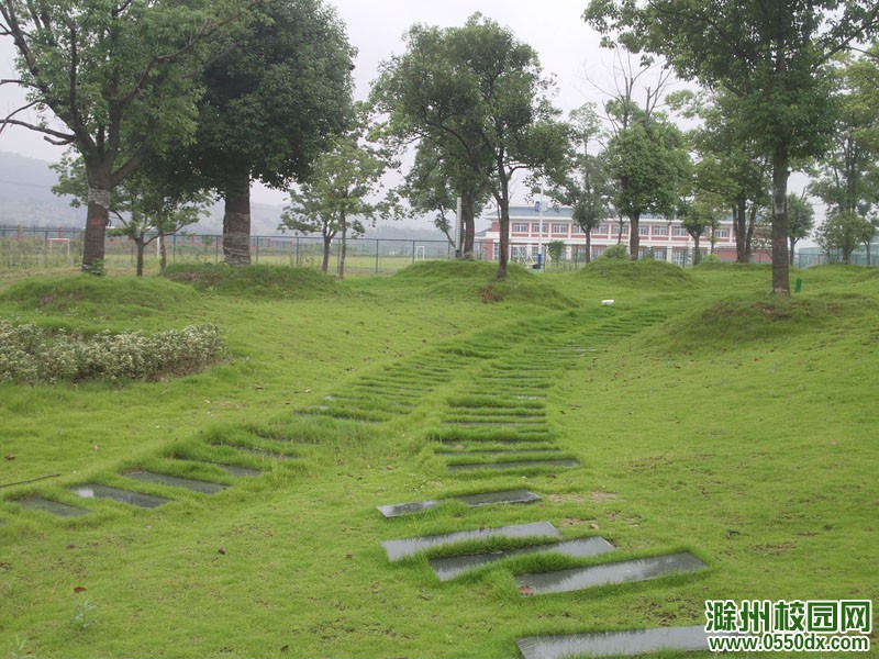 滁州职业技术学院