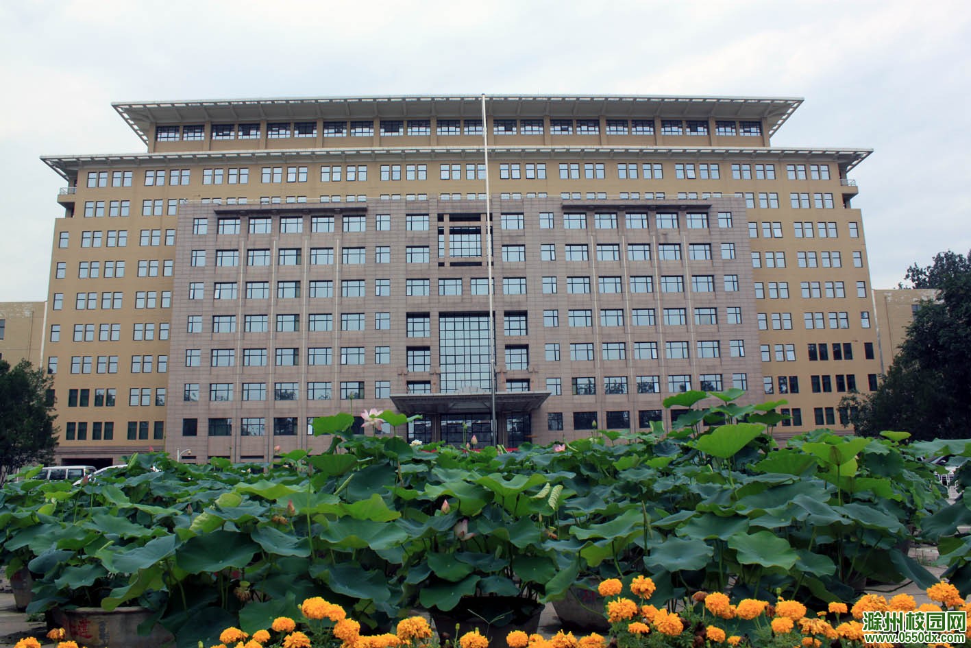 北京语言大学3.jpg