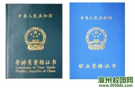 20100702084416703.JPG