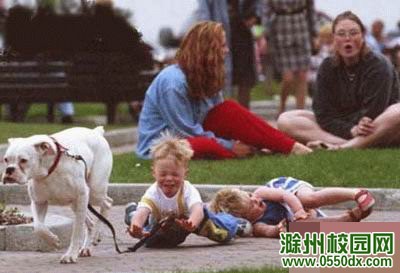 b201215115341114fc71ef32b64a.jpg