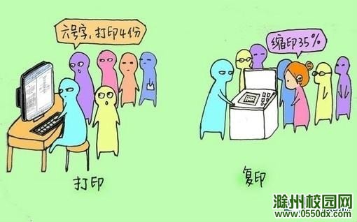 201203051333605535965701804701.jpg
