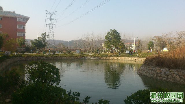 DSC_0893_.jpg
