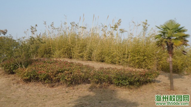 SAM_1047.JPG