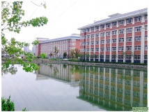 学校（图）