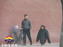 真人小企鹅，嘿嘿